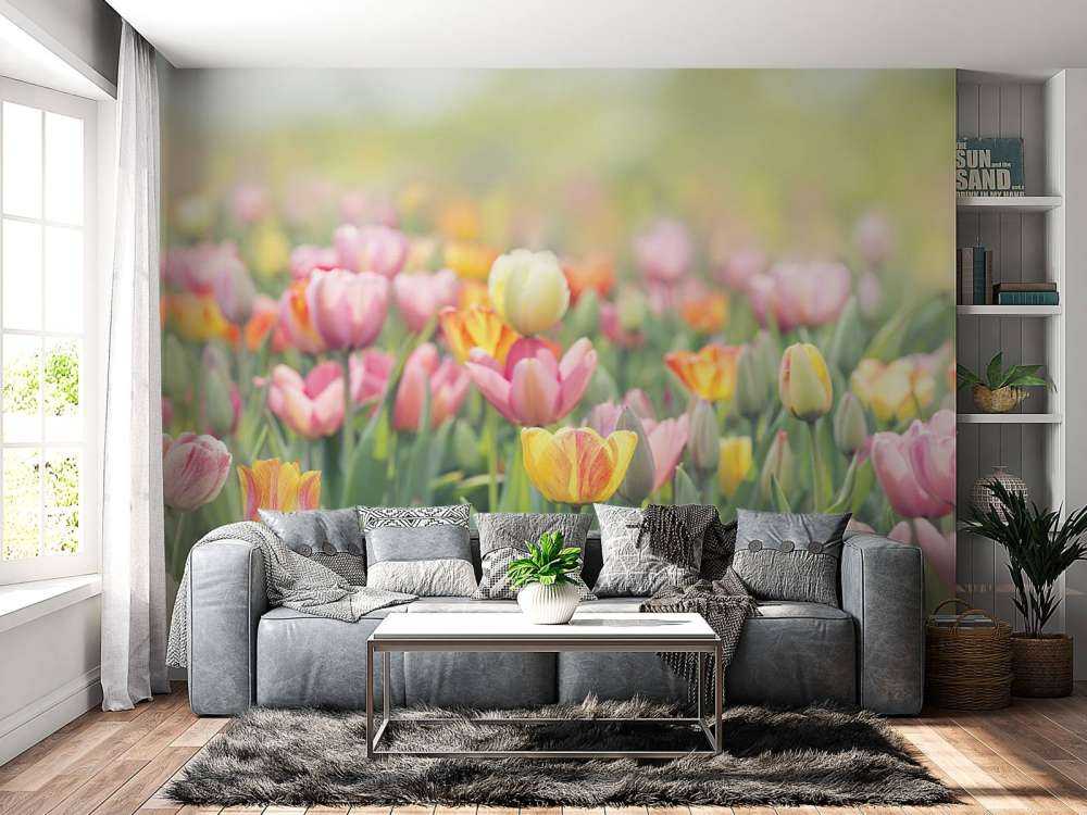 Kleurrijke tulpen