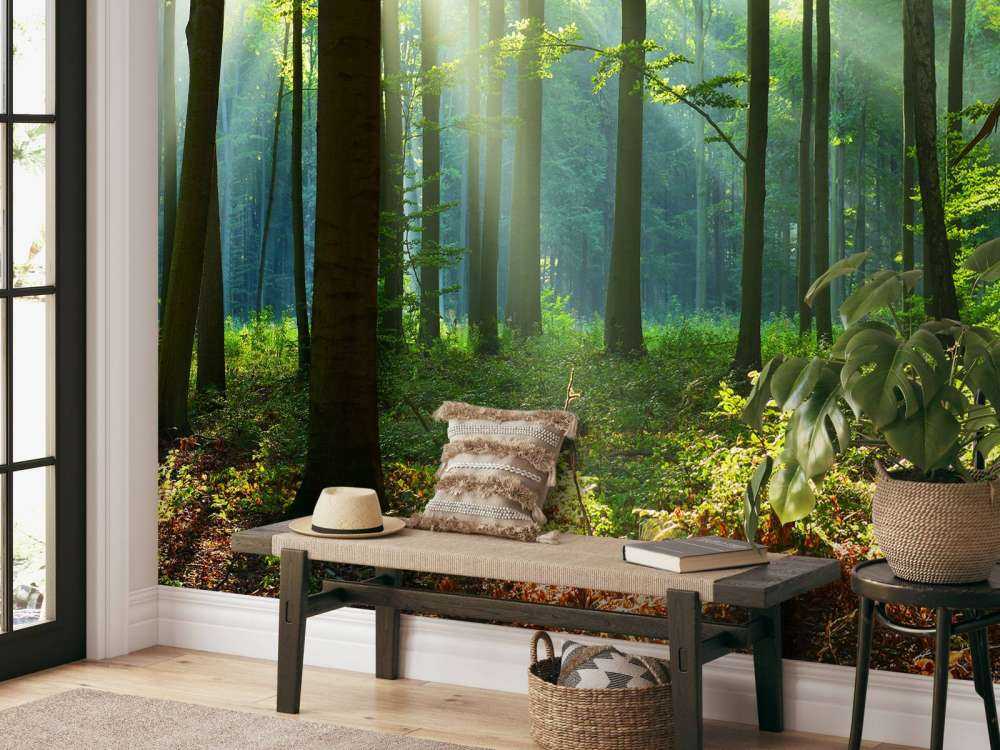 s Ochtends in het bos