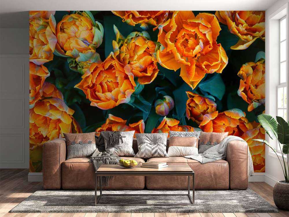 Close-up oranje tulpen