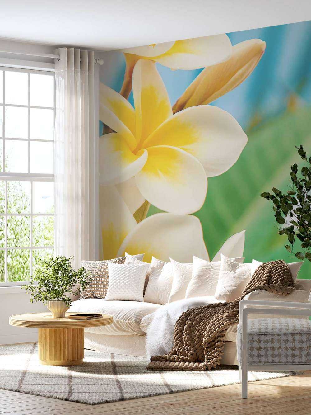 Wit gele Plumeria bloemen