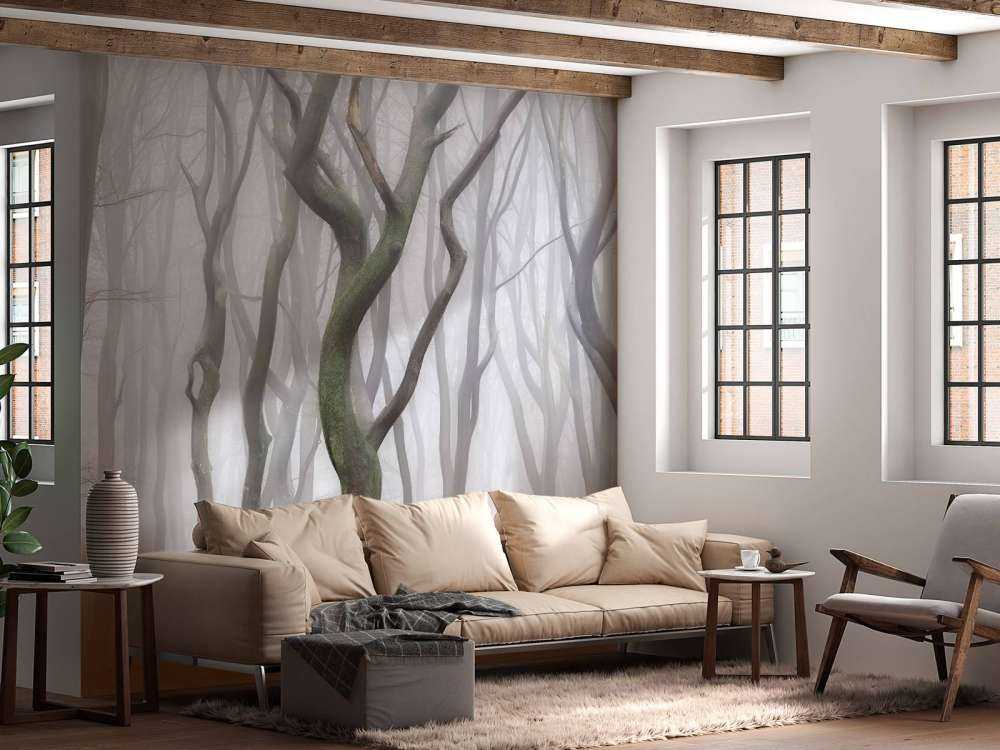 Early Morning Shuffle