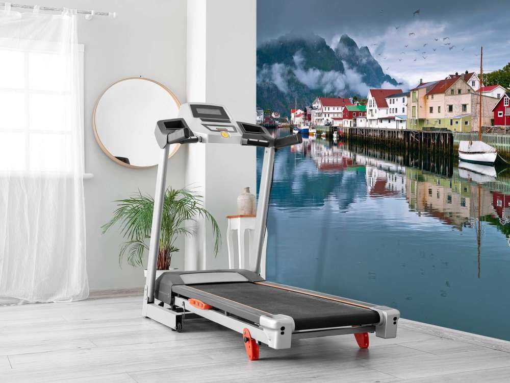 Huizen op de Lofoten