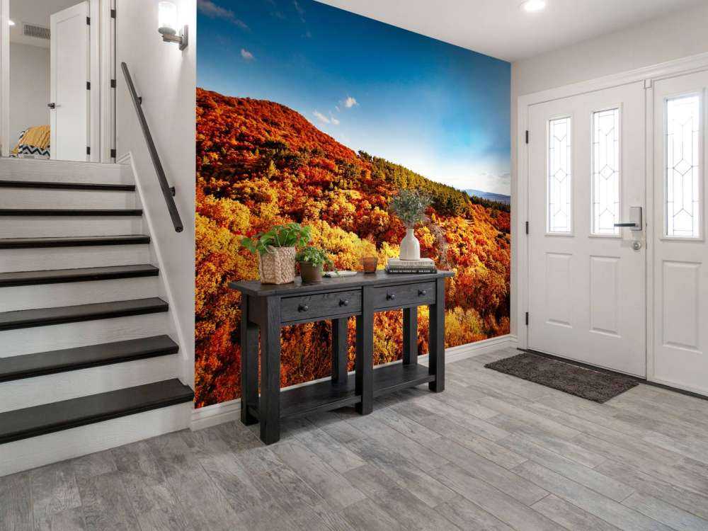 Landschap met gekleurde bomen