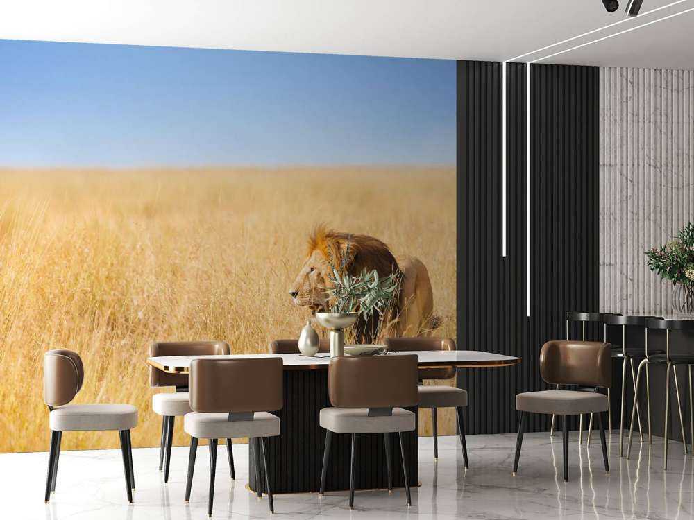 Afrikaanse leeuw op zoek naar een prooi