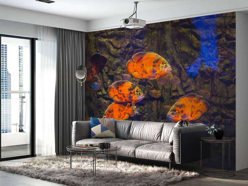 Tropische vissen en algen