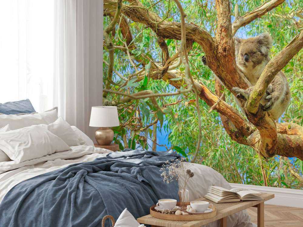 Koala in een Eucalyptus boom