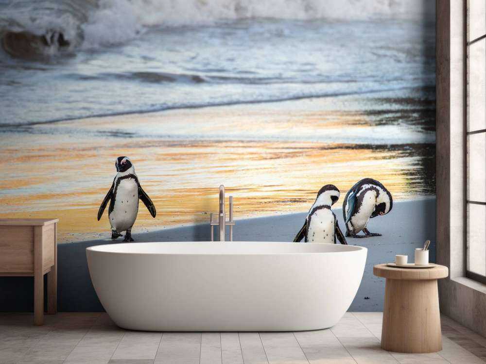 Zwartvoetpinguïns lopen uit de zee