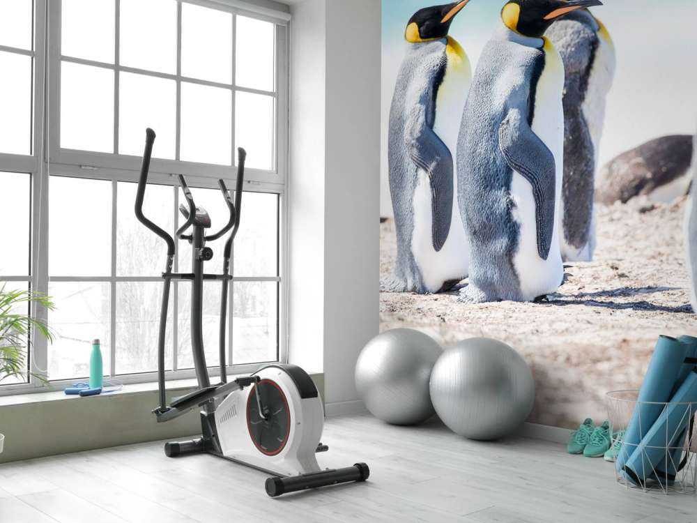 Vier pinguïns verkennen de Noordpool