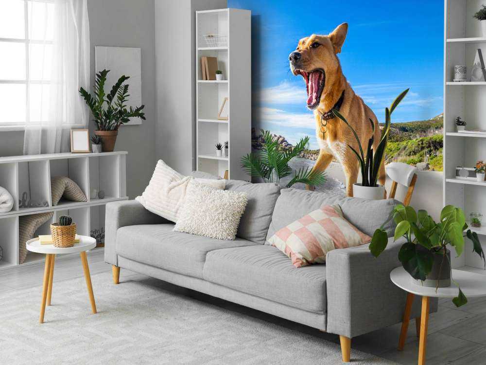 Hond in de zomer op het strand