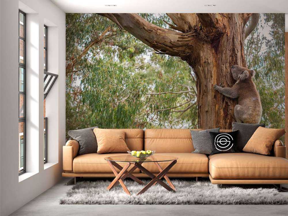 Koala klimt in een boom