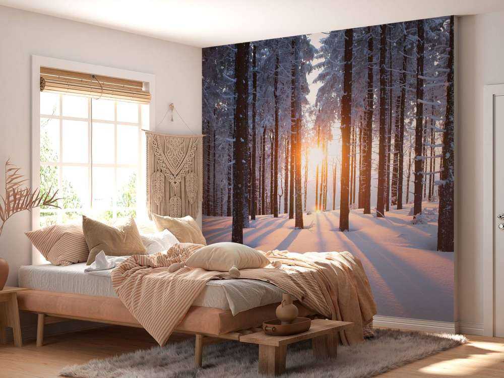 Zonsondergang in een winterbos