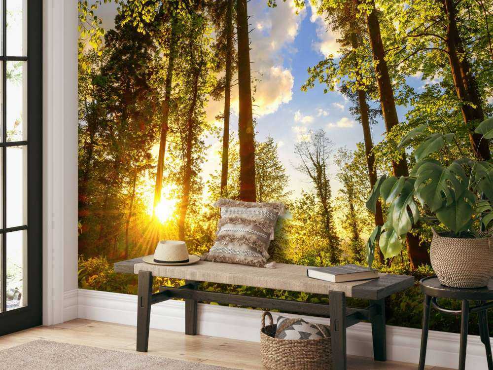 Zonsondergang door de bomen