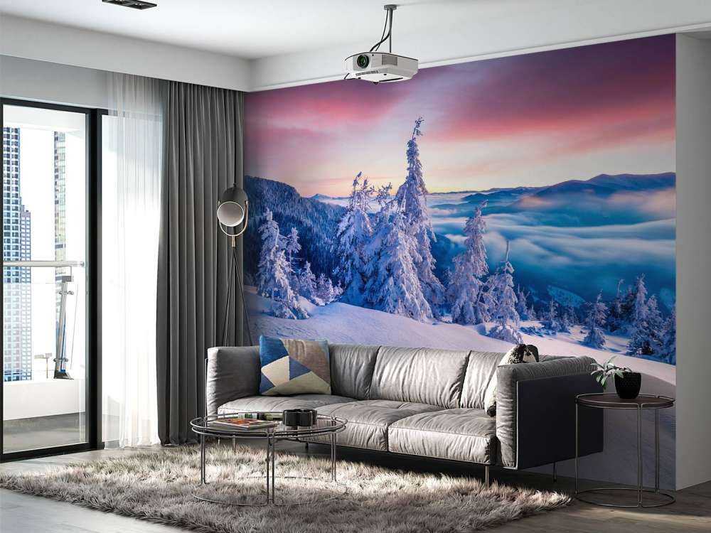 De Karpaten in de winter