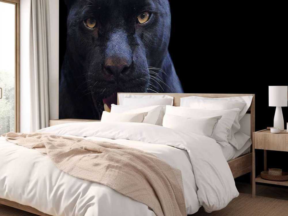 Panter met een zwarte achtergrond