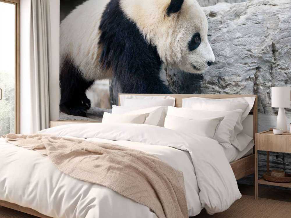 Panda in een dierentuin