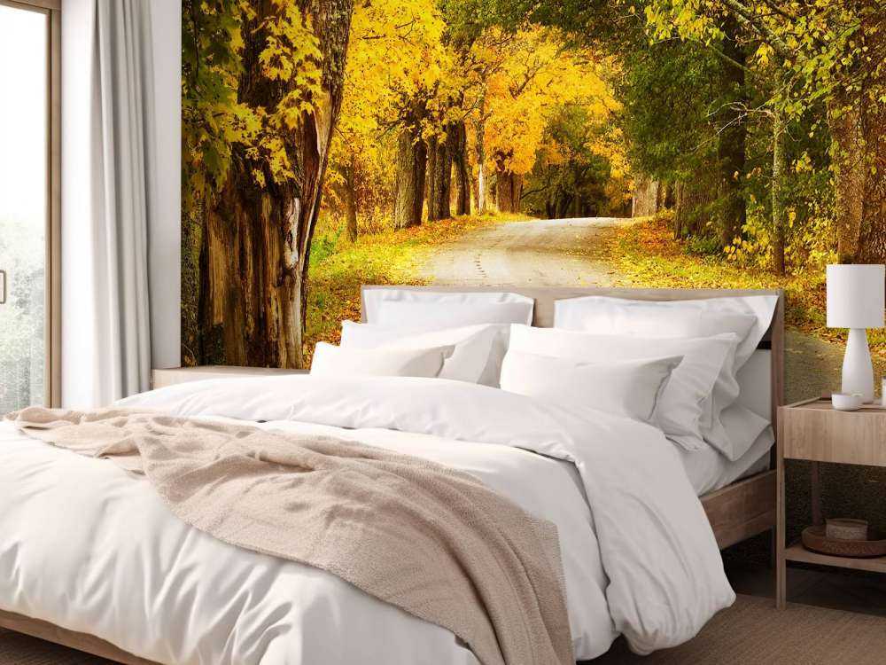 Weg met Bomen in de Herfst