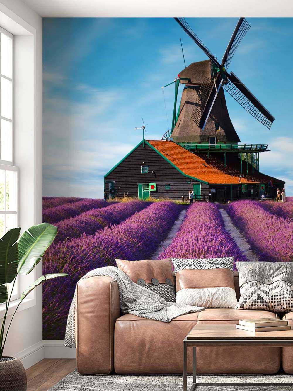 Lavendel veld met Windmolen op Achtergrond