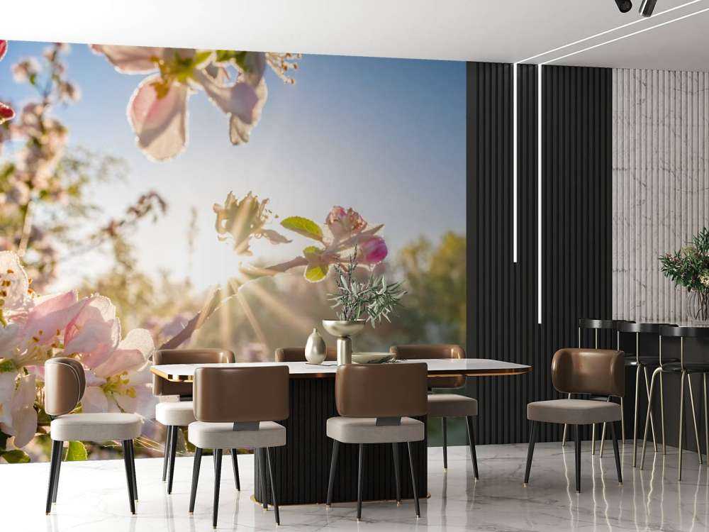 Felle Zon achter Bloesem takjes