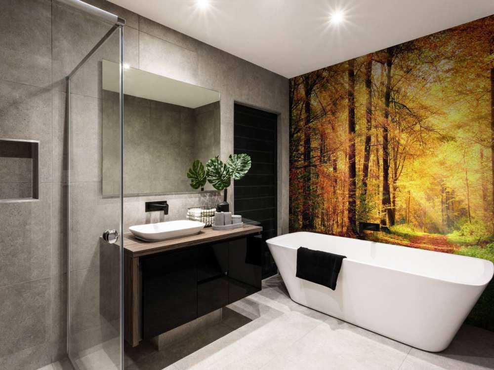 Zonsopkomst in het bos