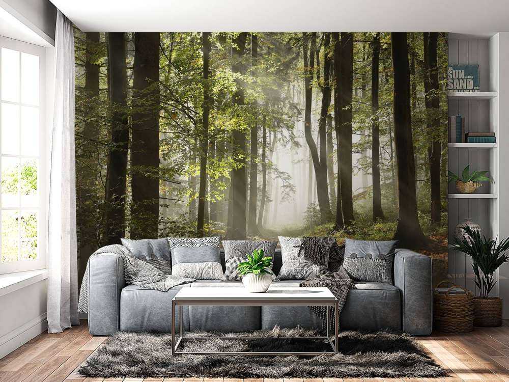 Mistig bos in de herfst