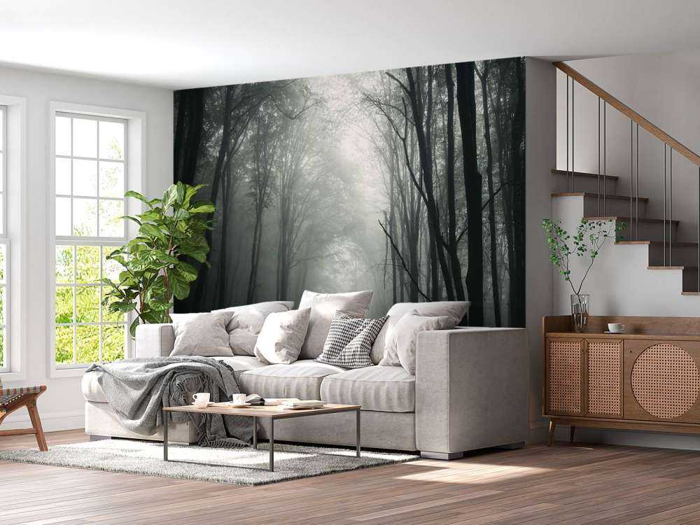 Mysterieuze Bos met Mist