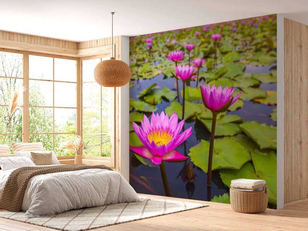 Opvallende roze lotusbloem