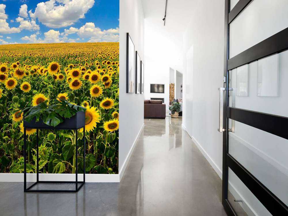 Zonnebloemveld onder een heldere lucht