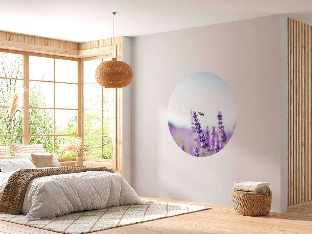 Lavendel steel close-up