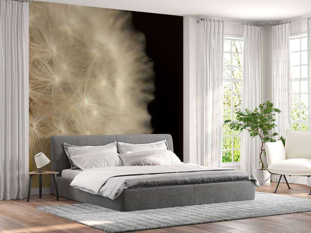 Paardenbloem met zwarte achtergrond