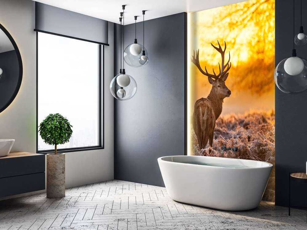 Hert met Zonsondergang