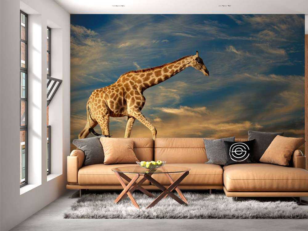 Giraffe in Zuid-Afrika lopend op zand