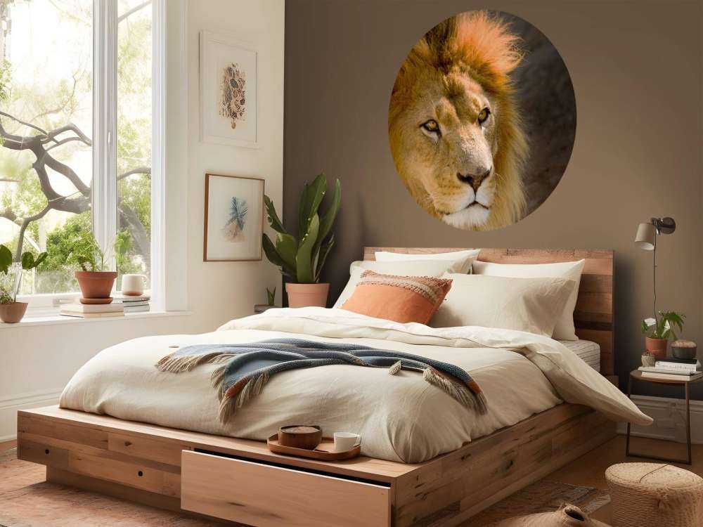 Starende Leeuw Close-Up