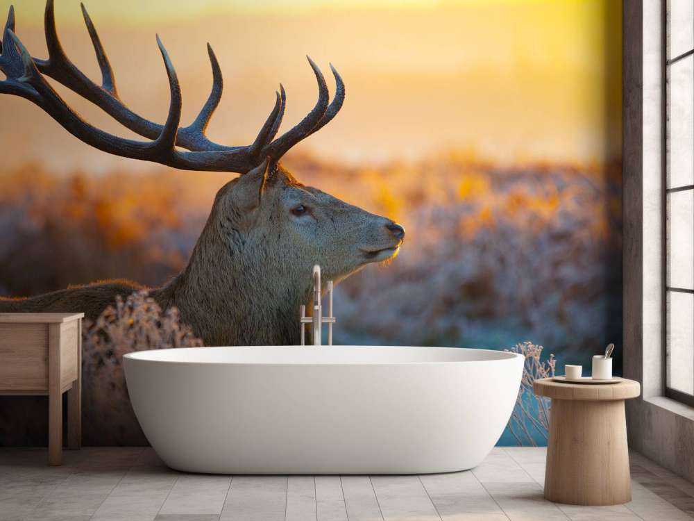 Edelhert met zichtbaar Gewei