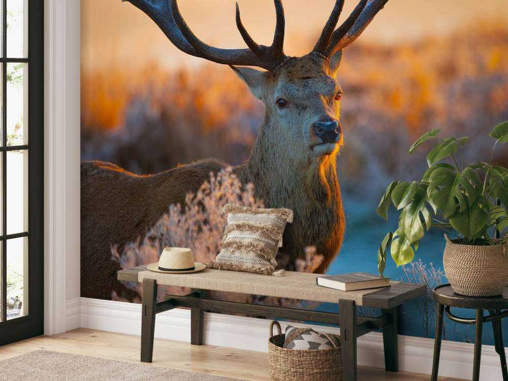 Portret van een Hert (Edelhert)