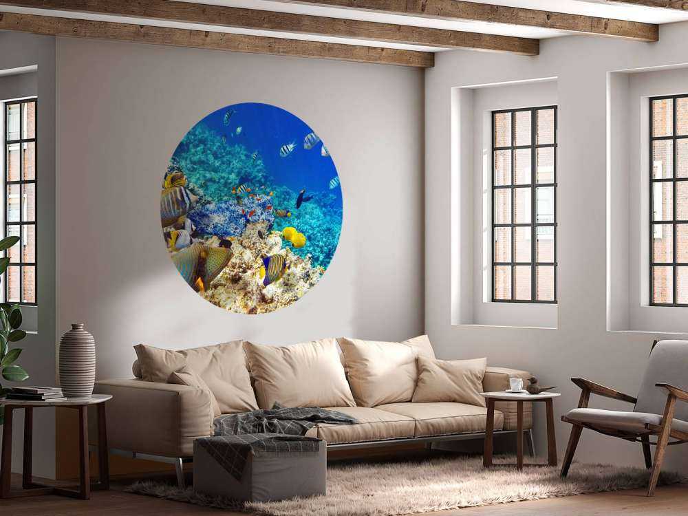 Exotische vissen in de oceaan