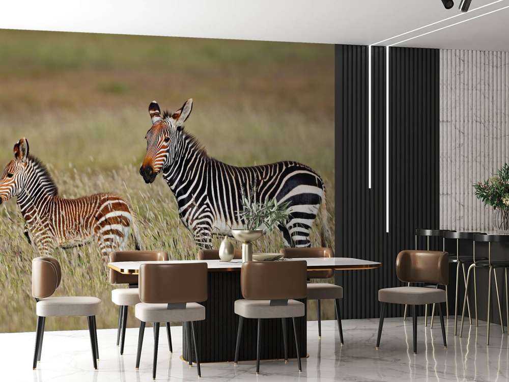 Kaapse bergzebra met een veulentje