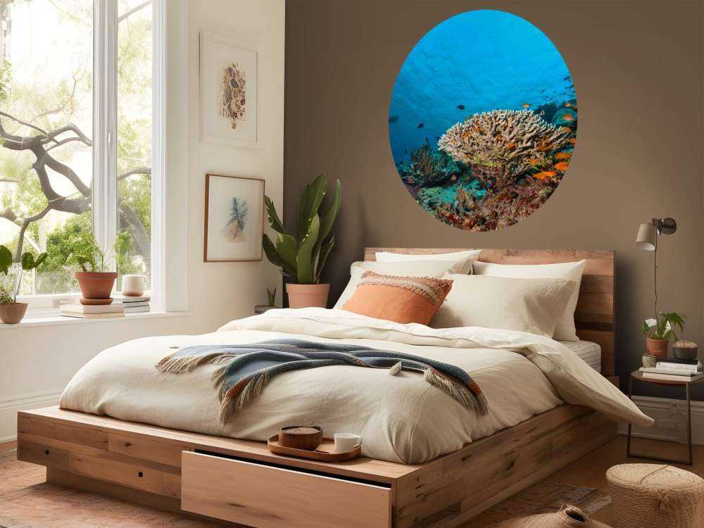 Koraalrif op de bodem van de Indische Oceaan