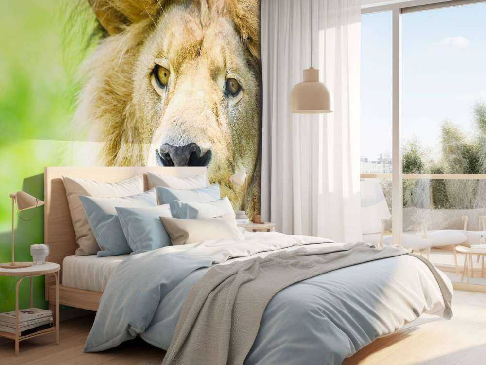 Gezicht van een Mooie Leeuw