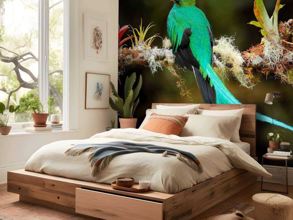 Blauwe Quetzal in Sri Lanka