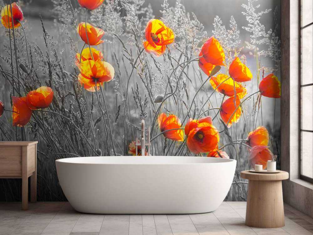 Oranje klaprozen met een zwart-witte achtergrond