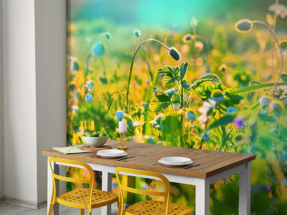 Zomer in een weiland