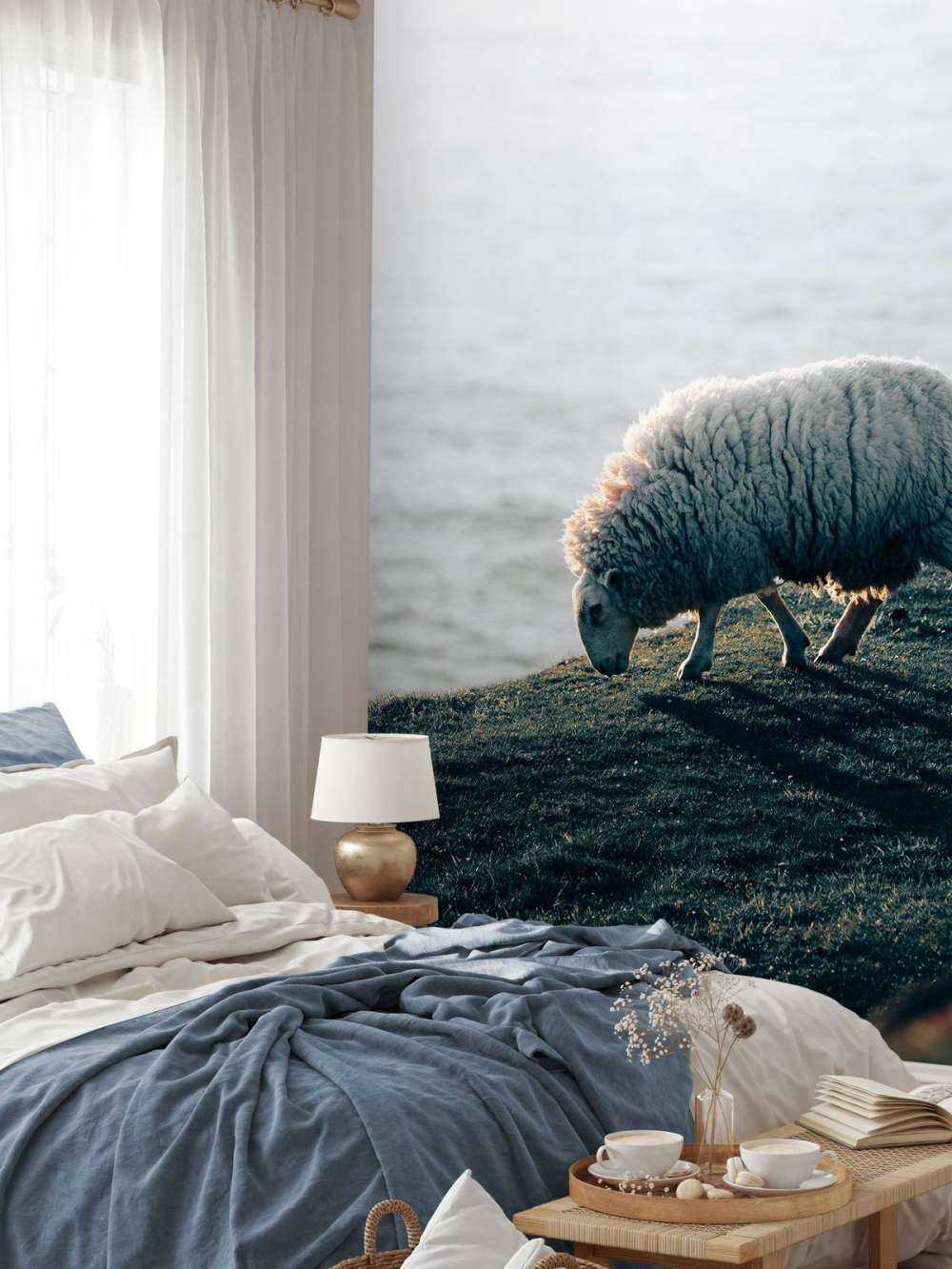 Grazend schaap