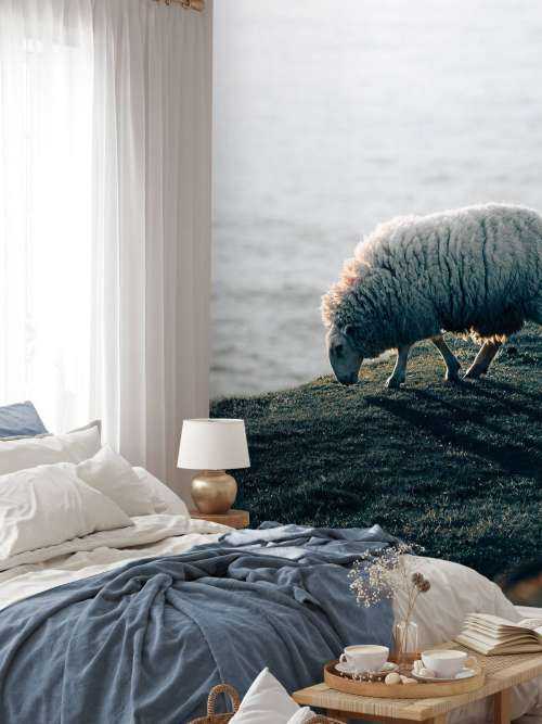 Grazend schaap