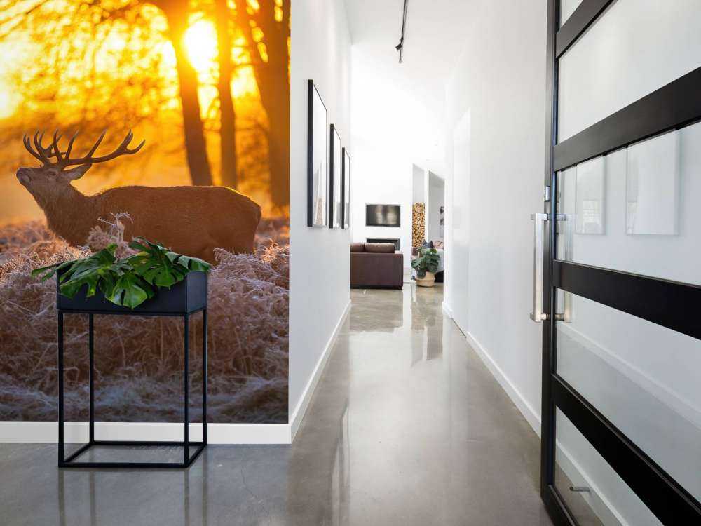 Herten bij zonsondergang