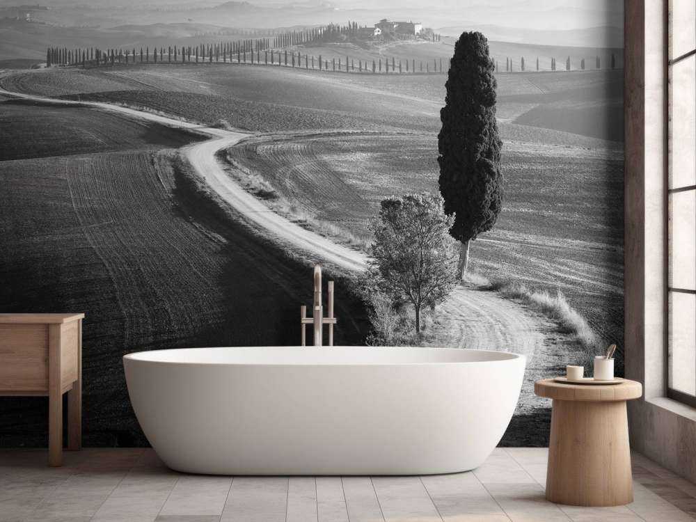 Morning in the field