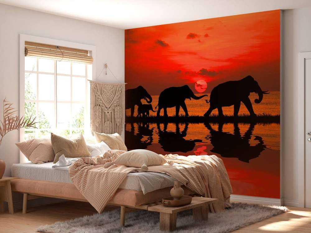 Olifanten en zonsondergang