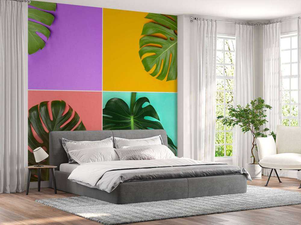 Plant met verschillende kleuren