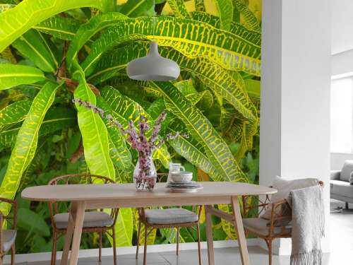 Geel-groene plant