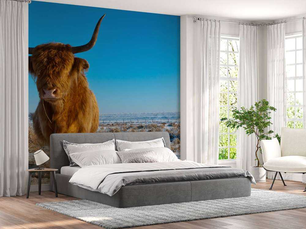 Schotse Hooglander met een blauwe lucht