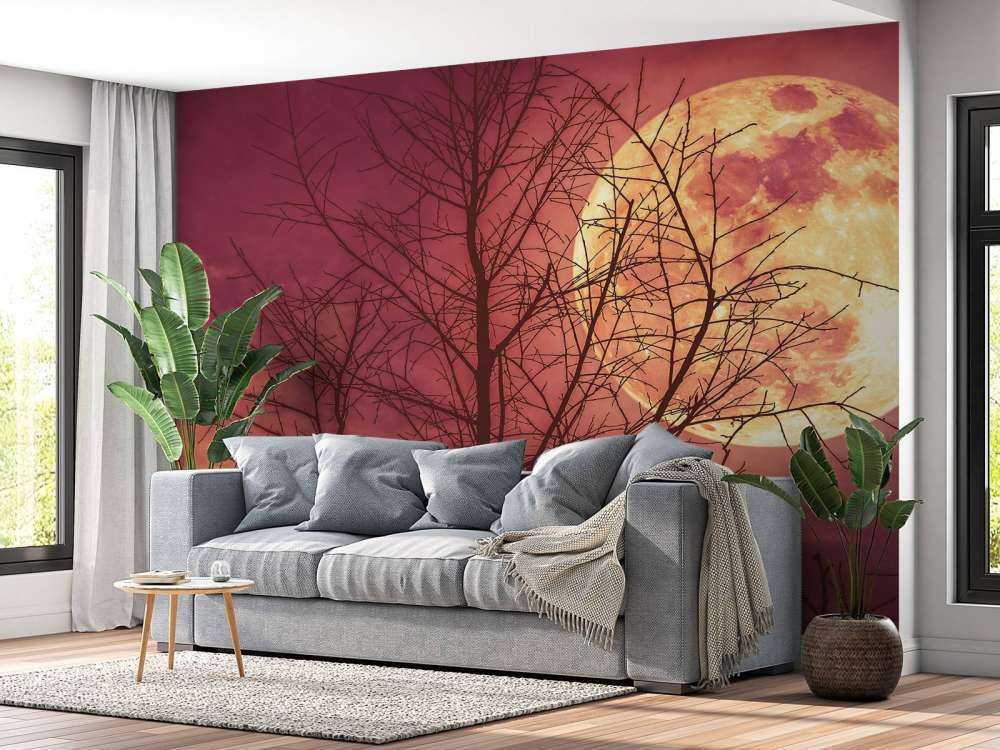 Kleurrijke maan design